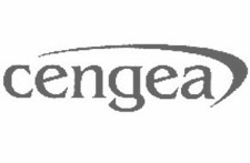cengea-290x190GREY